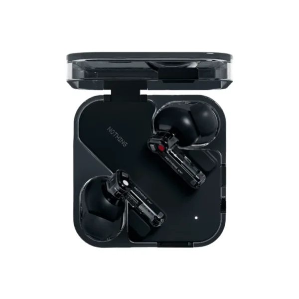 CMF-Ear-R-B171-2024-1